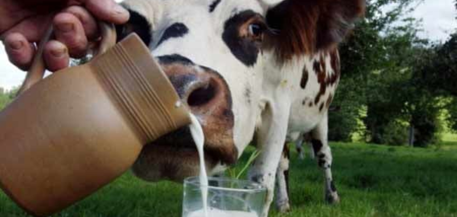 Молочные 'террористы': На Черниговщине селяне захватили молоковоз