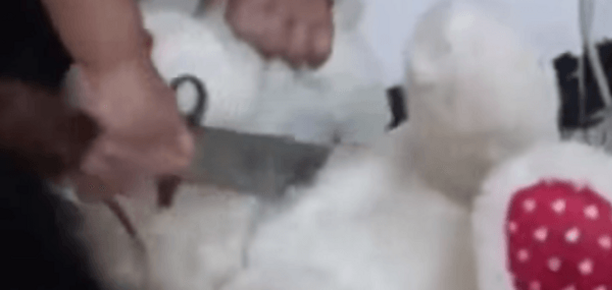 Палач тренируется? Малыш из ИГИЛ казнил плюшевого медведя: шокирующее видео