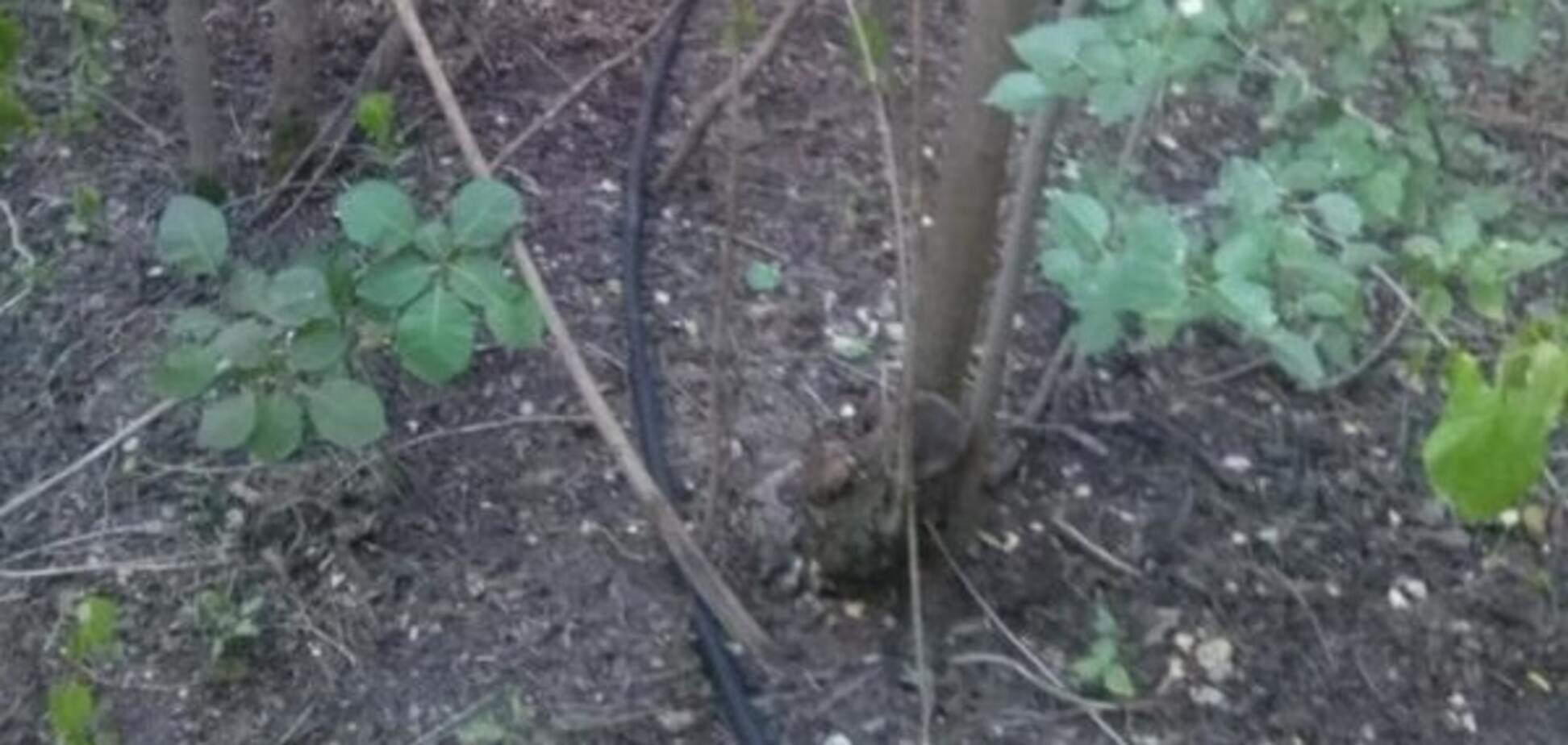 На границе обнаружили 600-метровый трубопровод для перекачки спирта: опубликованы фото