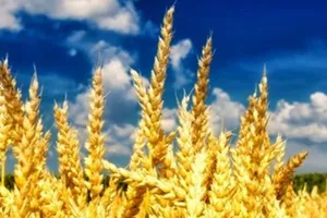 Поздравление с привкусом