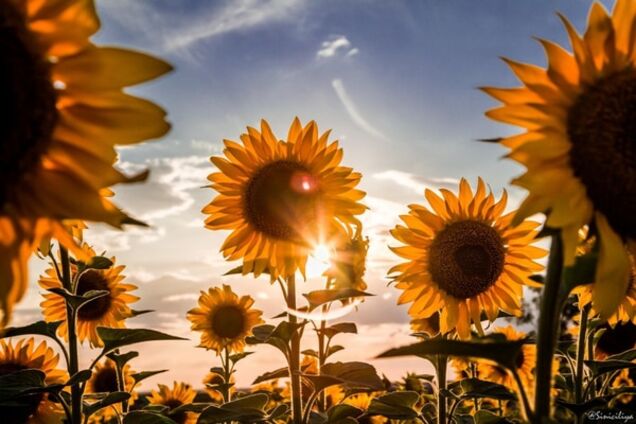 Наш удивительный мир: 20 ярких фото из разных уголков земли