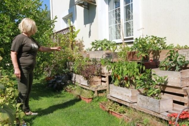 СМИ рассказали, как живут женщины из Партии регионов