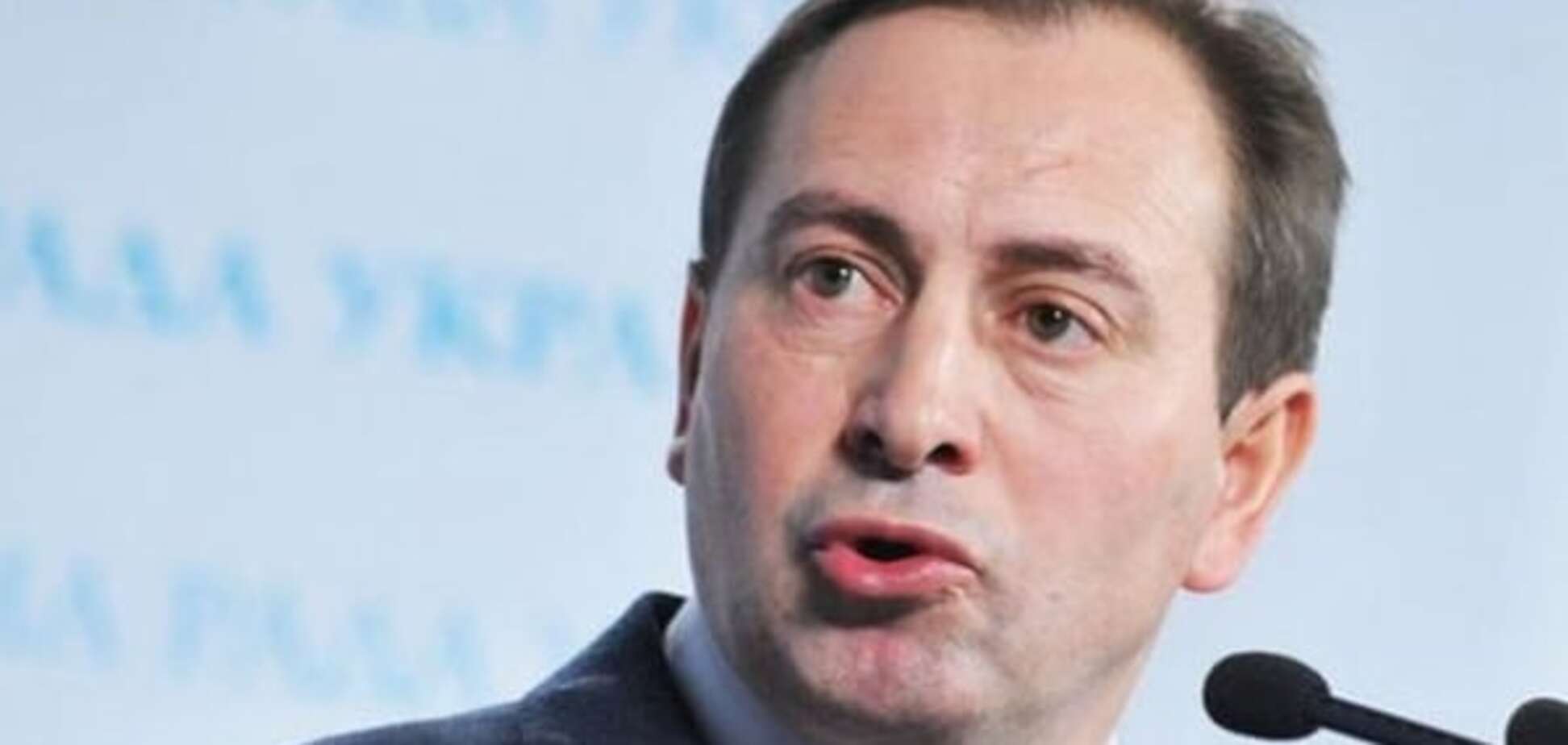 Томенко опасается, что 'фейсбук-министры' превратят новых патрульных в 'селфи-полицейских'