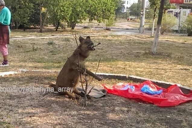 'Фильм ужасов на Троещине': киевлян взволновало чучело собаки