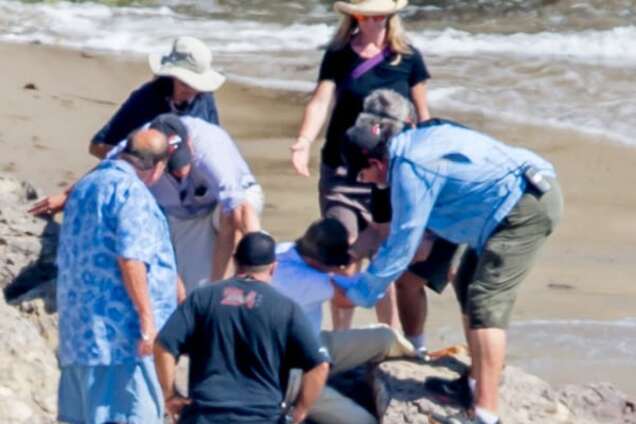 79-летний Вуди Аллен свалился со скалы в Малибу