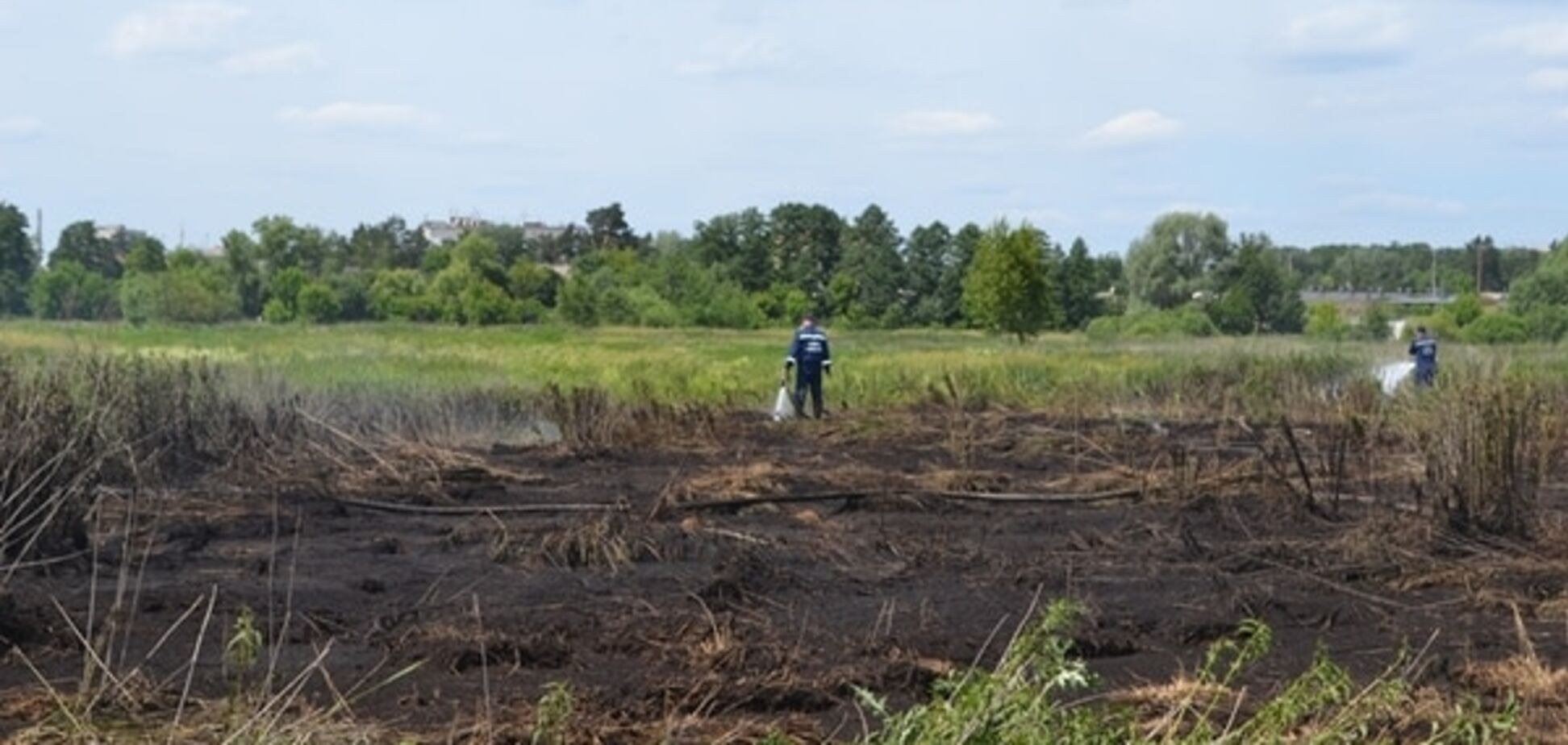 Киевлян успокоили: пожары торфяников не загрязняют воздух в столице