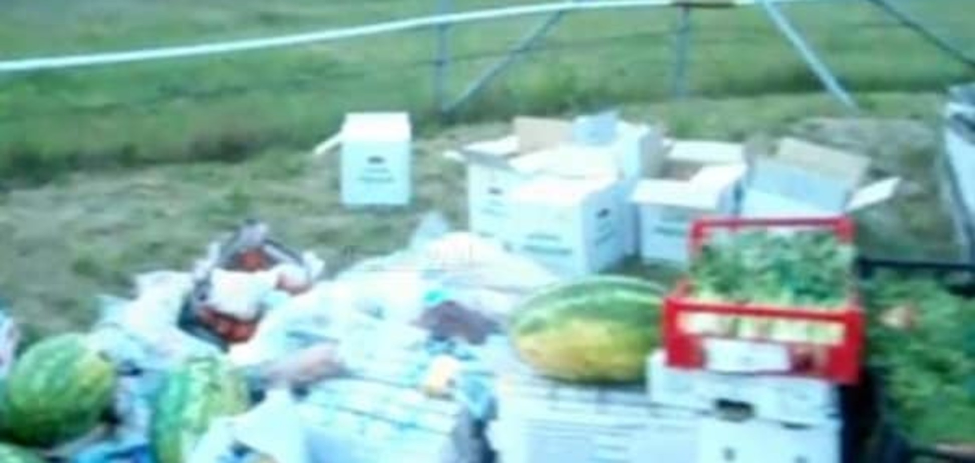 У гонщиков BMW на границе с Россией отобрали и уничтожили еду 
