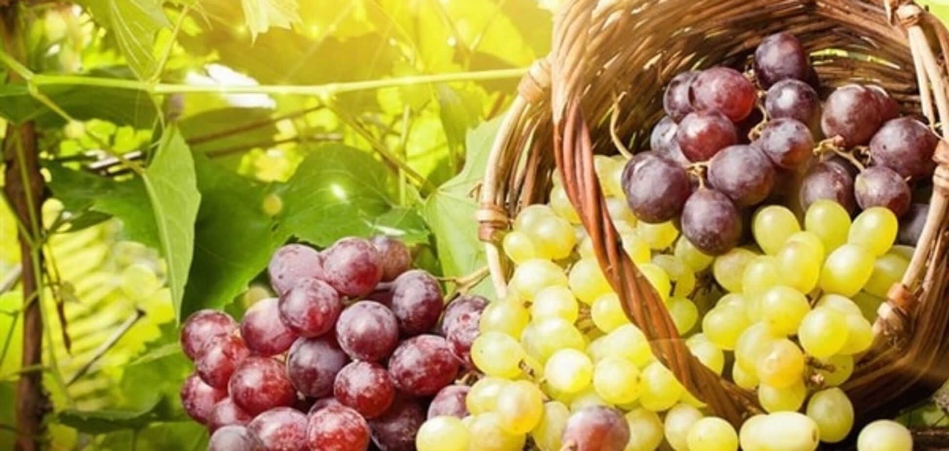 Диетолог назвала продукт, который улучшает все показатели крови