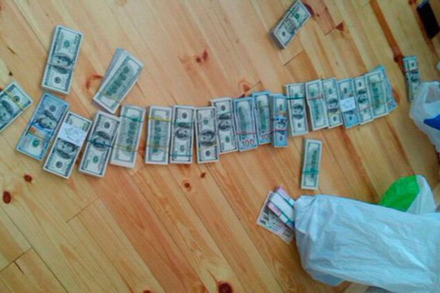 На Житомирщине силовики изъяли у скупщика $230 тысяч и 23 килограмма янтаря