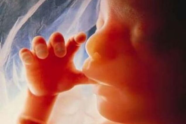 Восьмое чудо света: потрясающая серия снимков о зарождении человеческой жизни