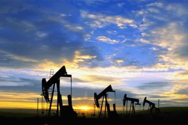 'Остаётся одно — принять ислам и передвигаться на верблюдах'