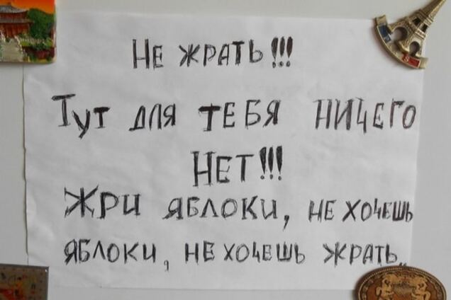 Веселые записки на холодильнике: народное творчество во всей красе