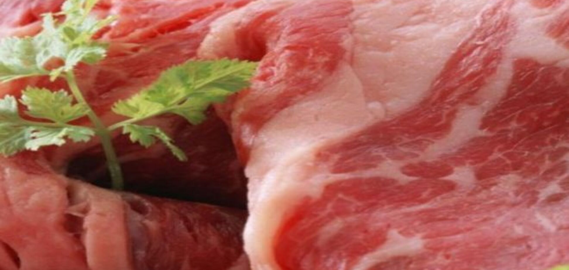 В России сожгли 100 тонн бразильской свинины из ЕС