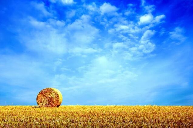 Адская жара. В Украине термометры покажут +37