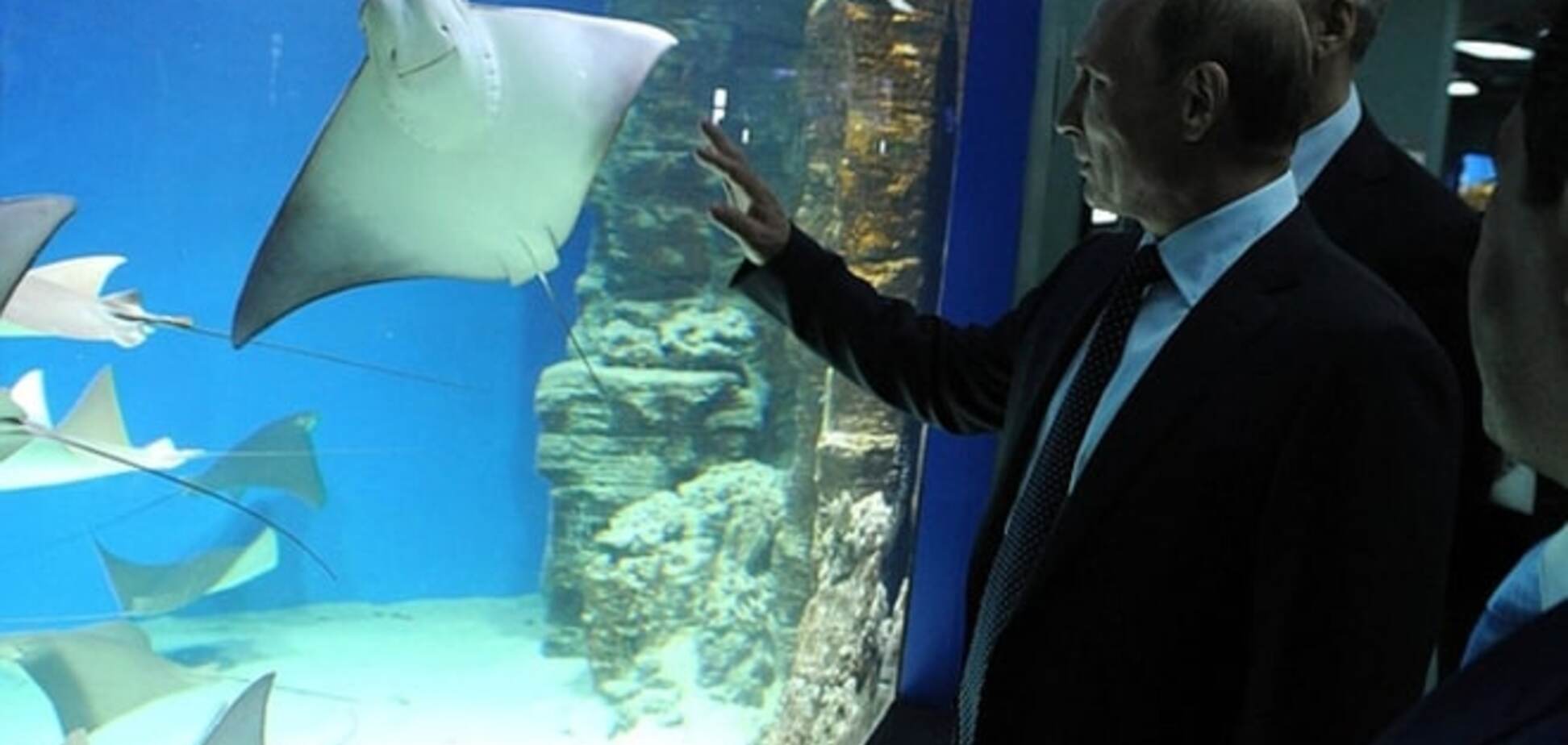 В России ничего не происходит