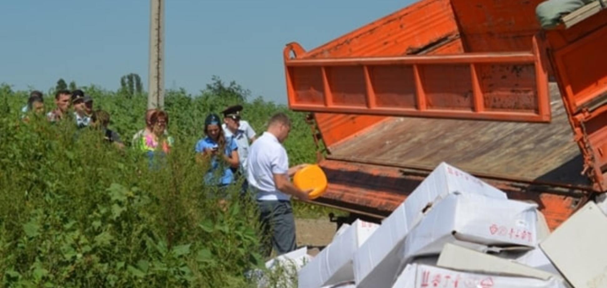 'Еда отомстит': блогеры об уничтожении продуктов в России