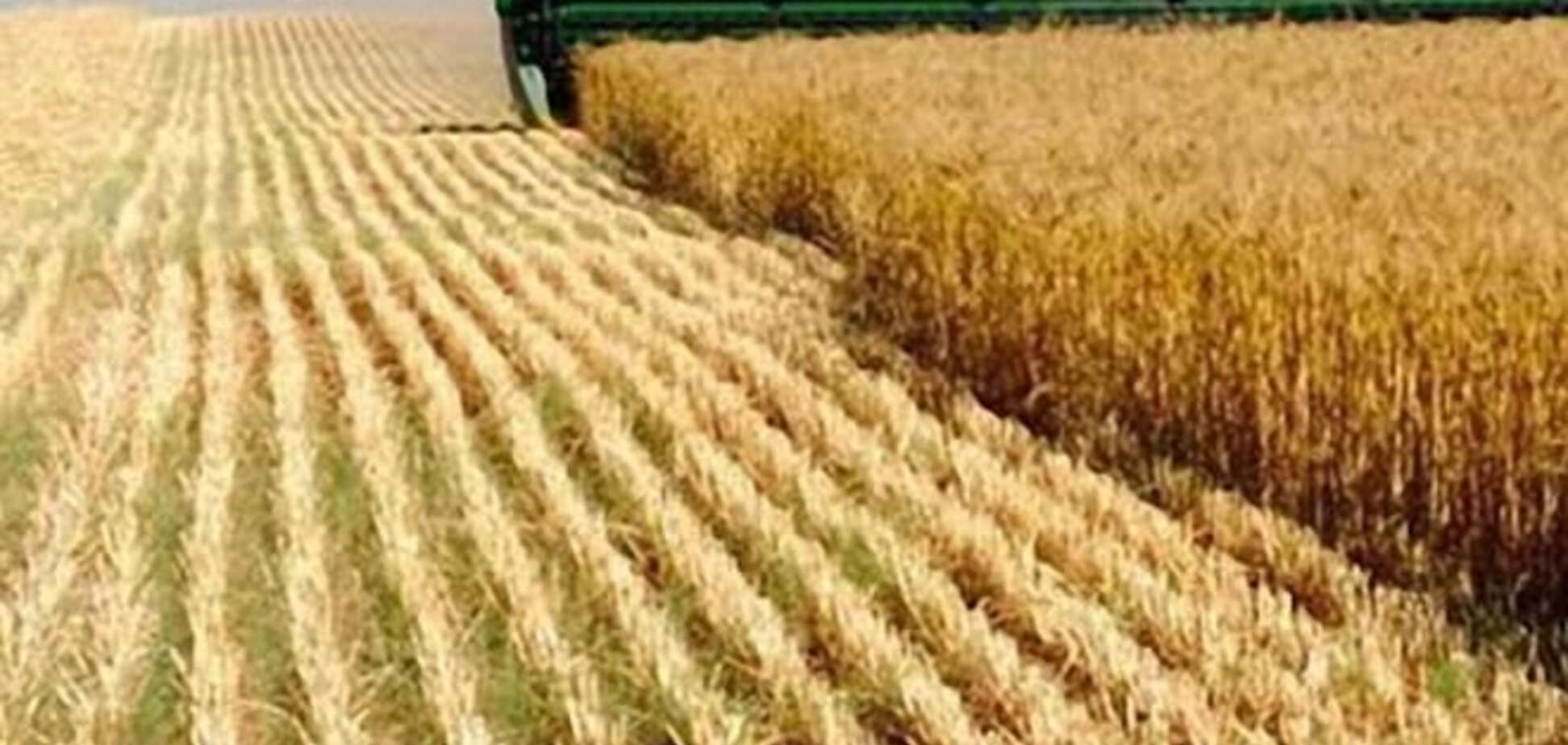 В Херсонской области собрали рекордный урожай ранних зерновых 