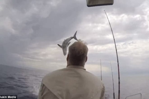Выпрыгнувшая из воды акула напугала рыбаков: видеофакт