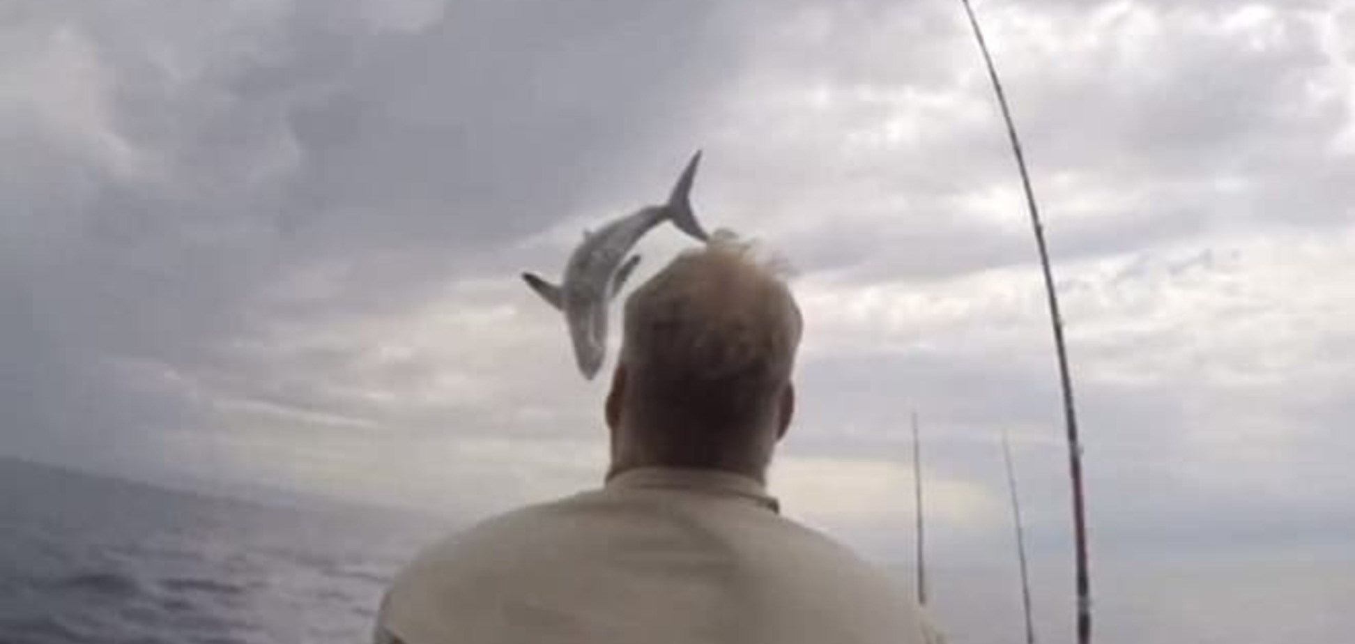 Выпрыгнувшая из воды акула напугала рыбаков: видеофакт