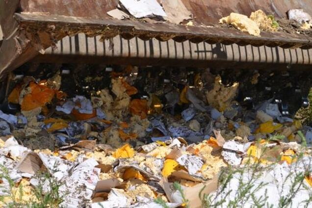 А я поддерживаю политику российских властей!