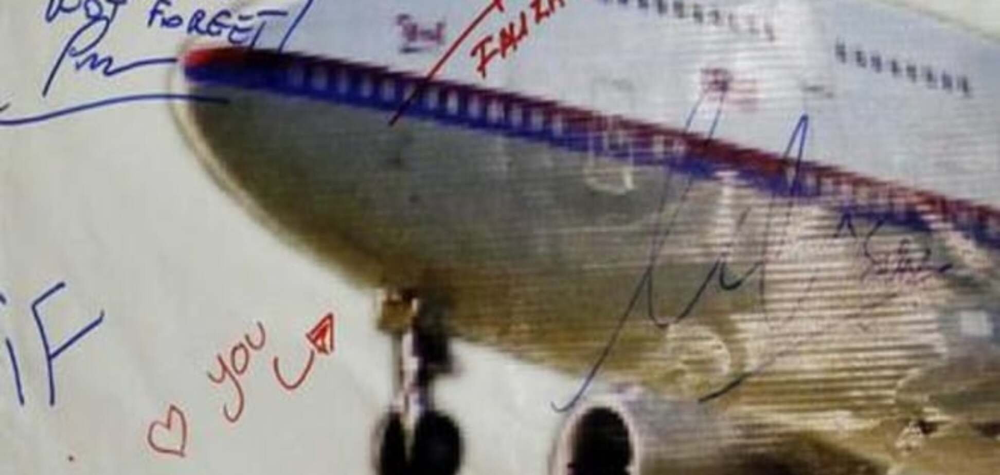 Обломки самолета с Реюньона не раскрыли тайны исчезнувшего 'Боинга'