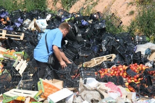 Голодные россияне собирают остатки раздавленной еды с полигонов: фотофакт