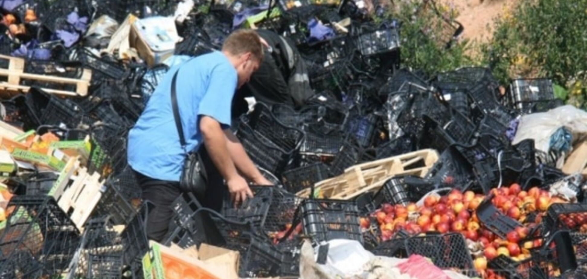 Голодные россияне собирают остатки раздавленной еды с полигонов: фотофакт