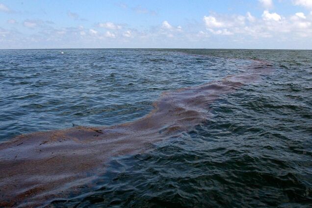 Турки испортили более гектара Азовского моря