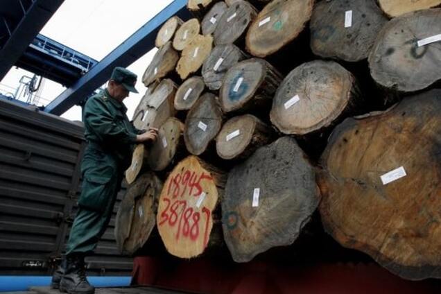 Эх, заживут! Самопровозглашенная Южная Осетия будет поставлять лес для шахт террористической 'ДНР'