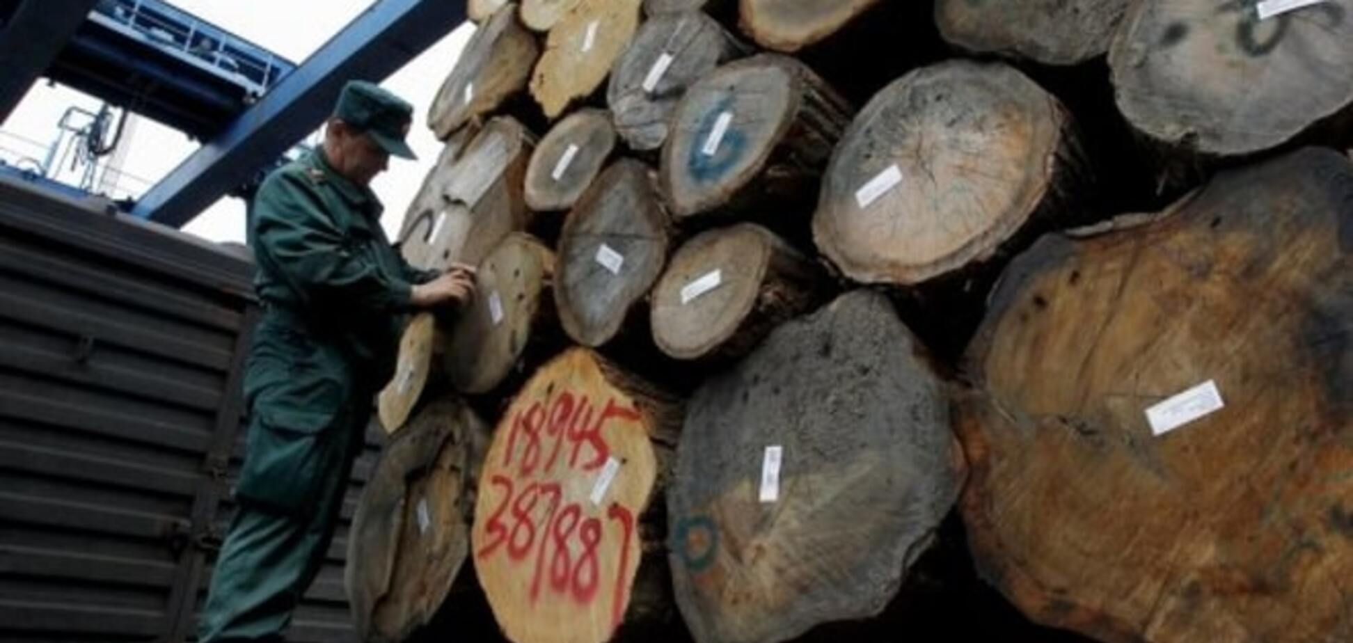 Эх, заживут! Самопровозглашенная Южная Осетия будет поставлять лес для шахт террористической 'ДНР'