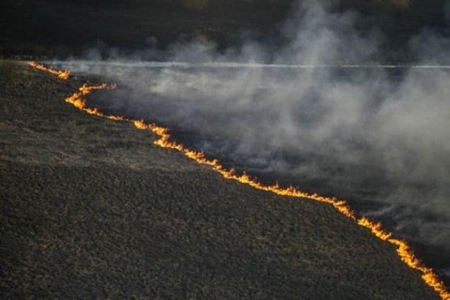 Масштабный пожар в Чернобыле: появились данные о радиации