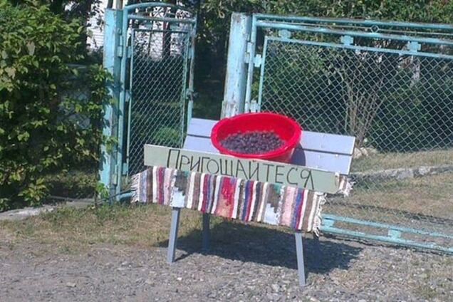 Угощайтесь! Сеть взорвала фотография щедрости украинского народа