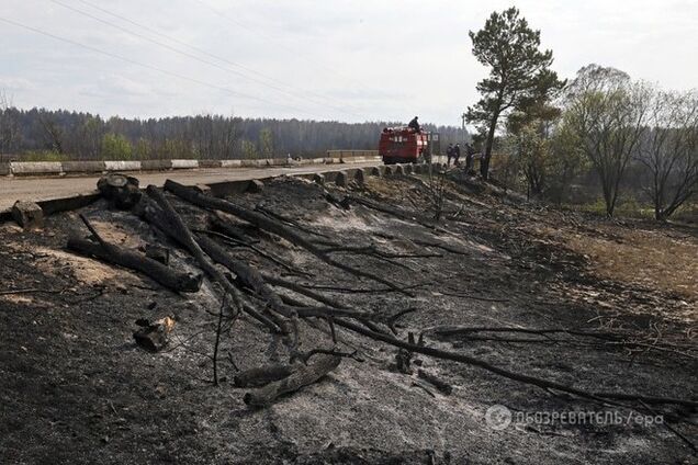 Пожар в зоне ЧАЭС: спасатели уверяют, что все под контролем