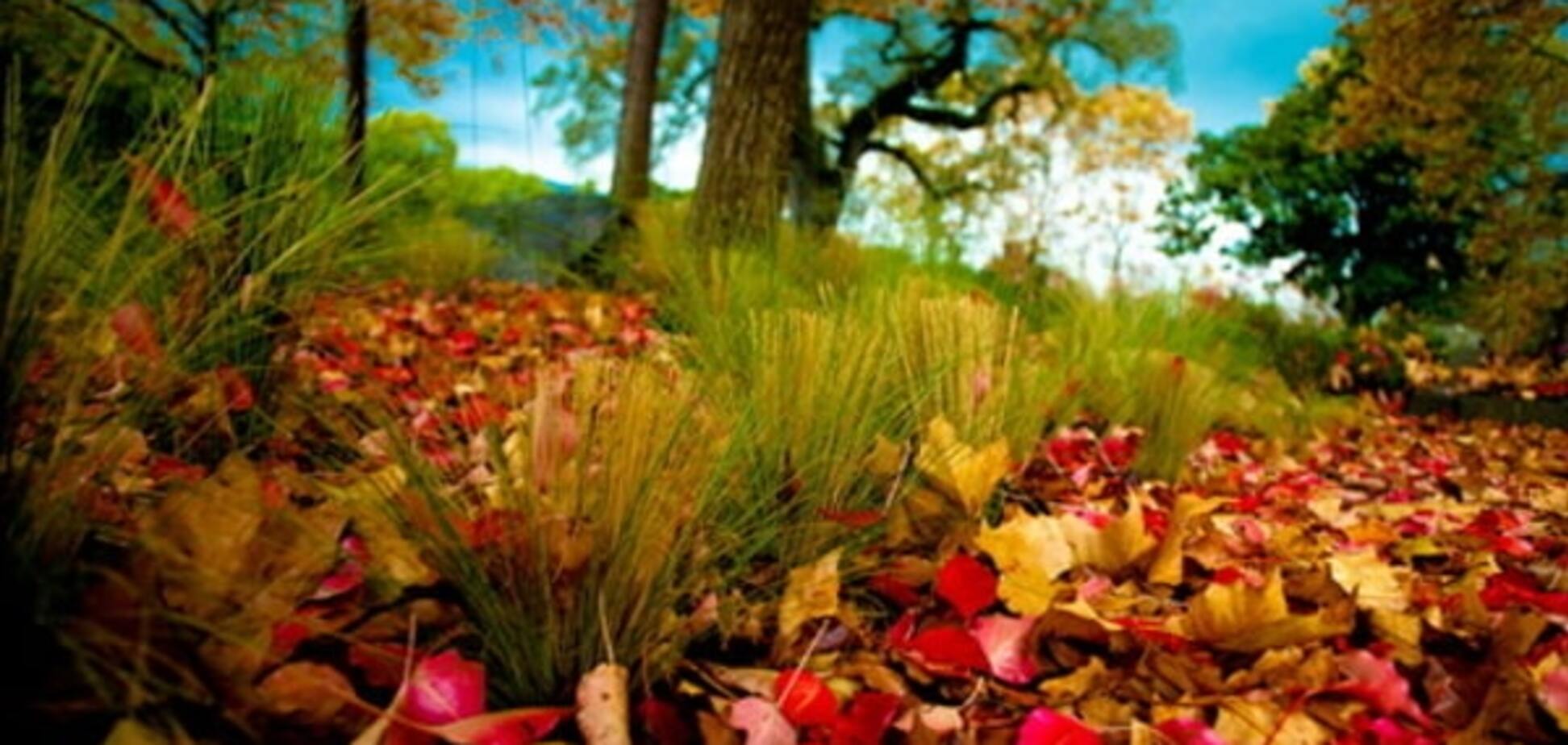 Первый день осени принесет украинцам 38-градусную жару