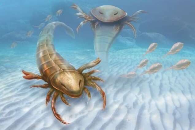 Археологи нашли останки древнейшего в мире морского скорпиона