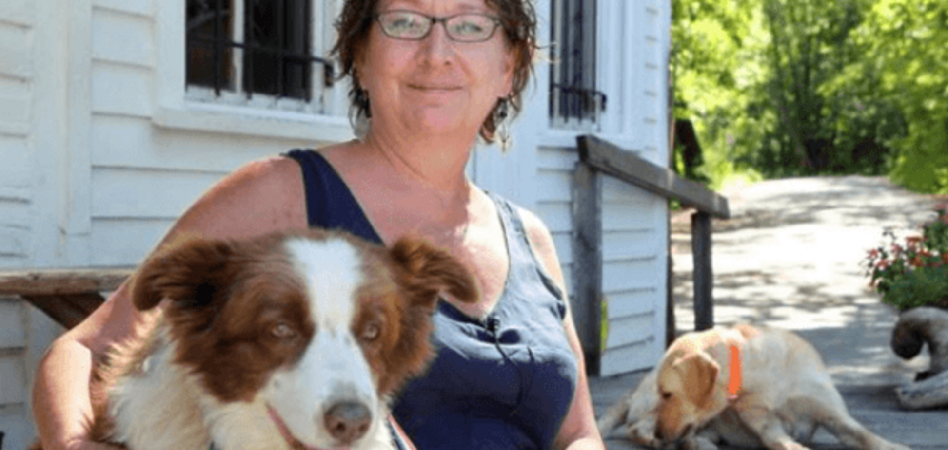 В США собака покинет пост мэра города и баллотируется в президенты