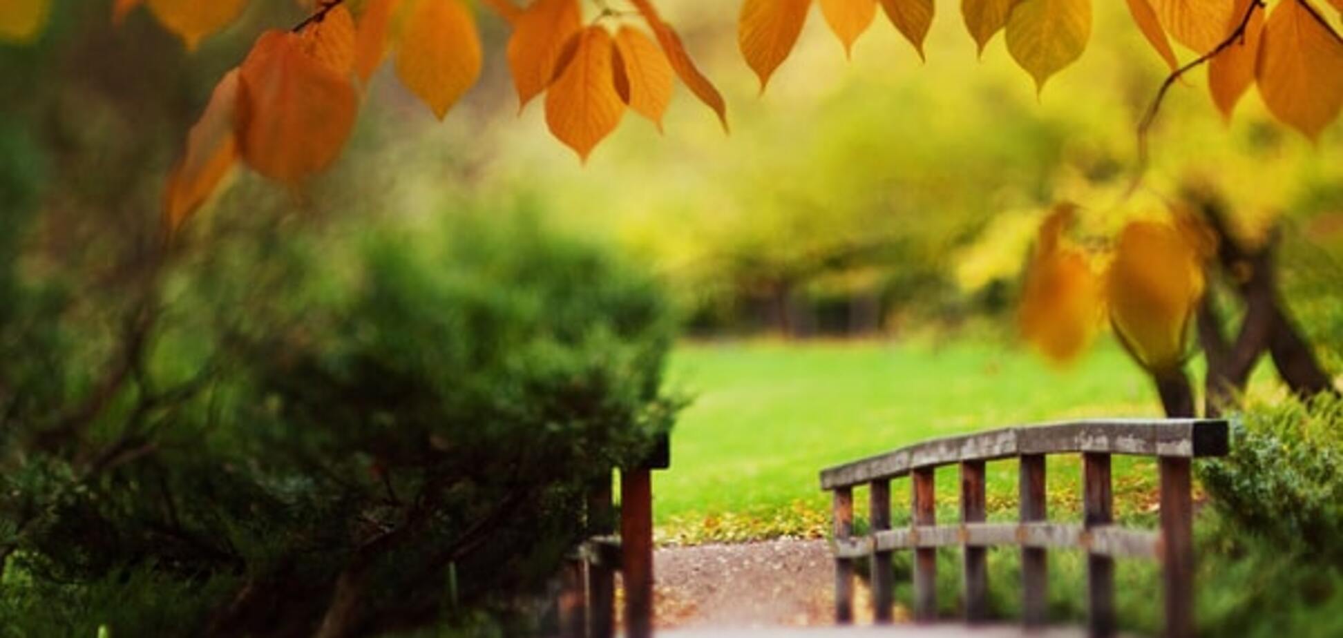 Когда придет бабье лето: прогноз погоды до конца сентября