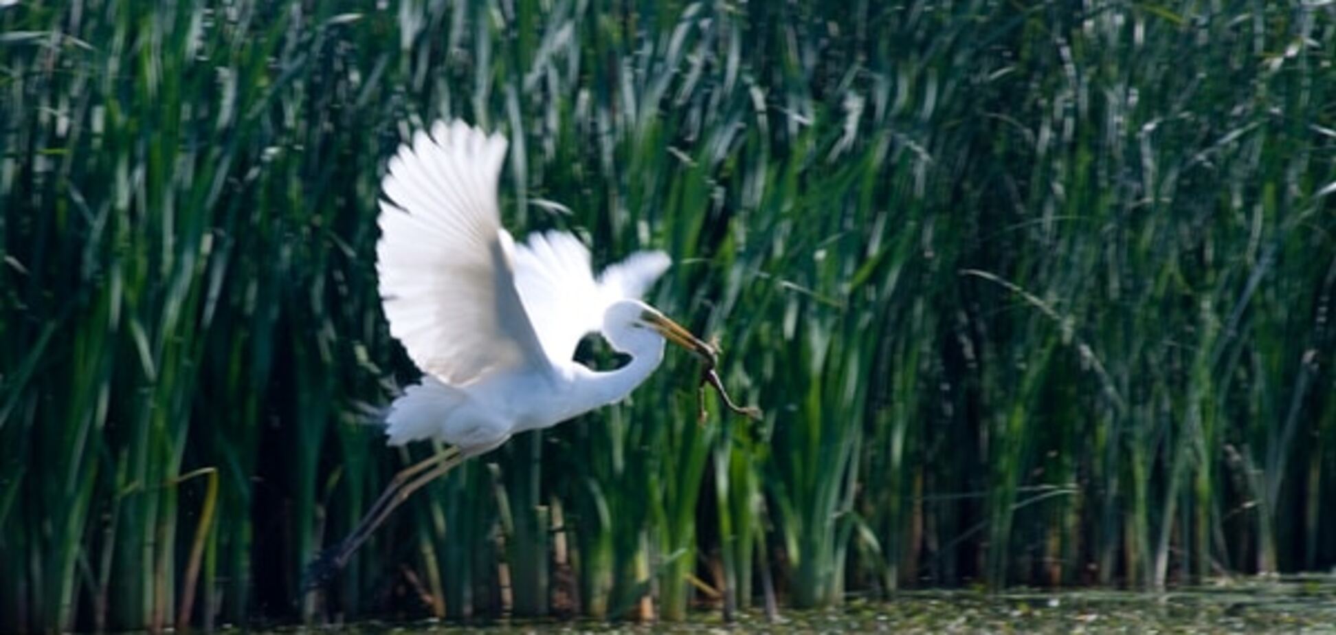 10 'стран' в Украине, которые стоит посетить: одесская Италия и хмельницкая Ирландия