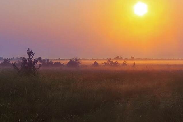 Осеннее туманное утро: 25 фото, наполненных тишиной и покоем