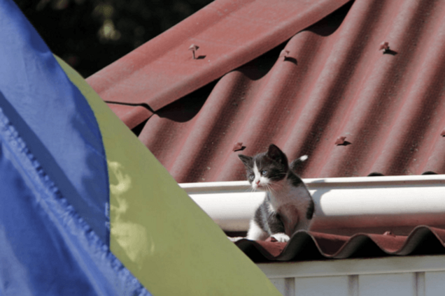 У Минобороны появился новый 'боец': фотофакт