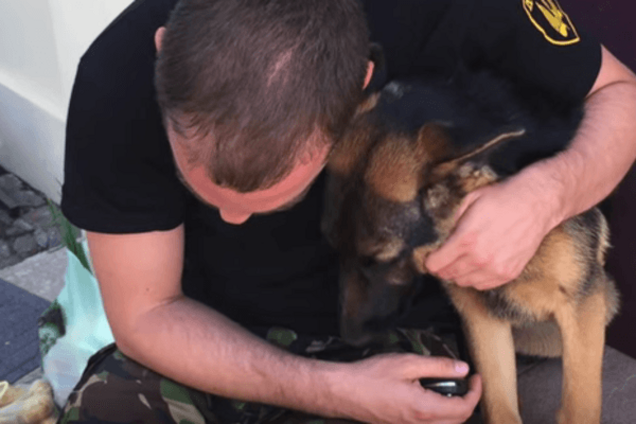 До слез! Видео трогательной встречи бойца АТО и его 'доци' поразило украинцев