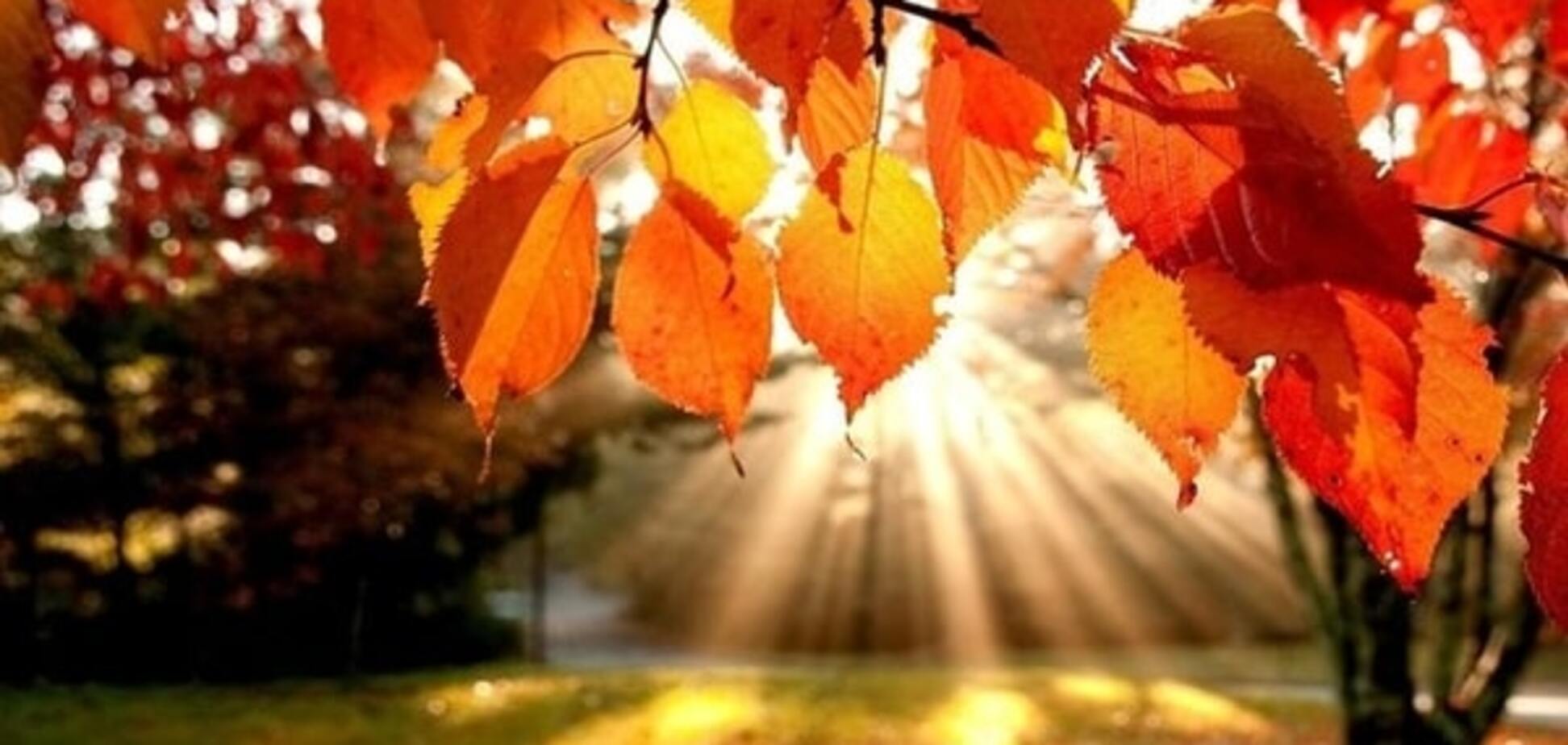 Лето возвращается: прогноз погоды на 14-18 сентября