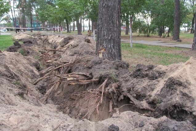 У київському парку комунальники масово 'підрили' дерева: фотофакт