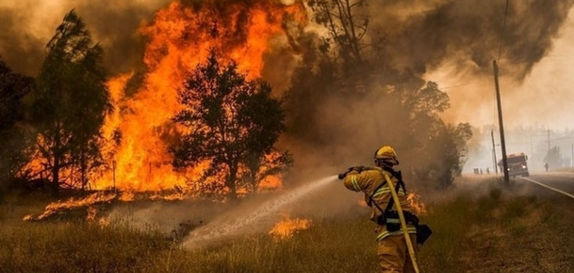 В сети появилось шокирующее видео лесных пожаров в США