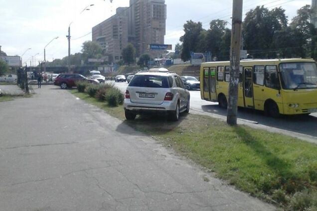 'Парнокопытные пасутся': в Киеве автохамы затоптали траву на проспекте Победы