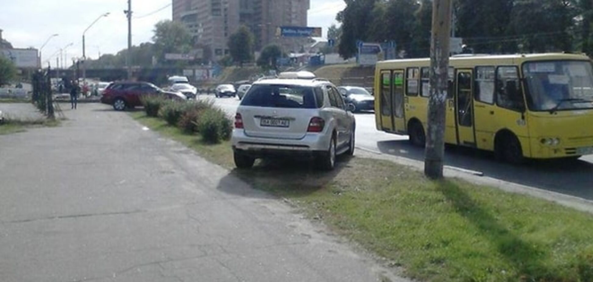 'Парнокопытные пасутся': в Киеве автохамы затоптали траву на проспекте Победы