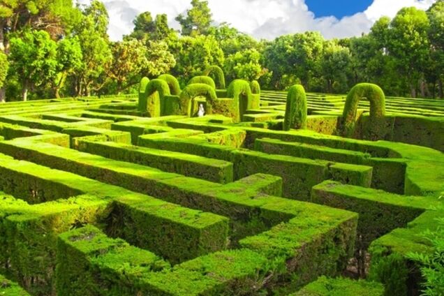 В соцсети появились фото будущих киевских лабиринтов