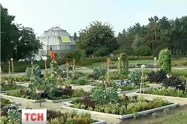 Новинки київського ботсаду: що можна подивитися восени