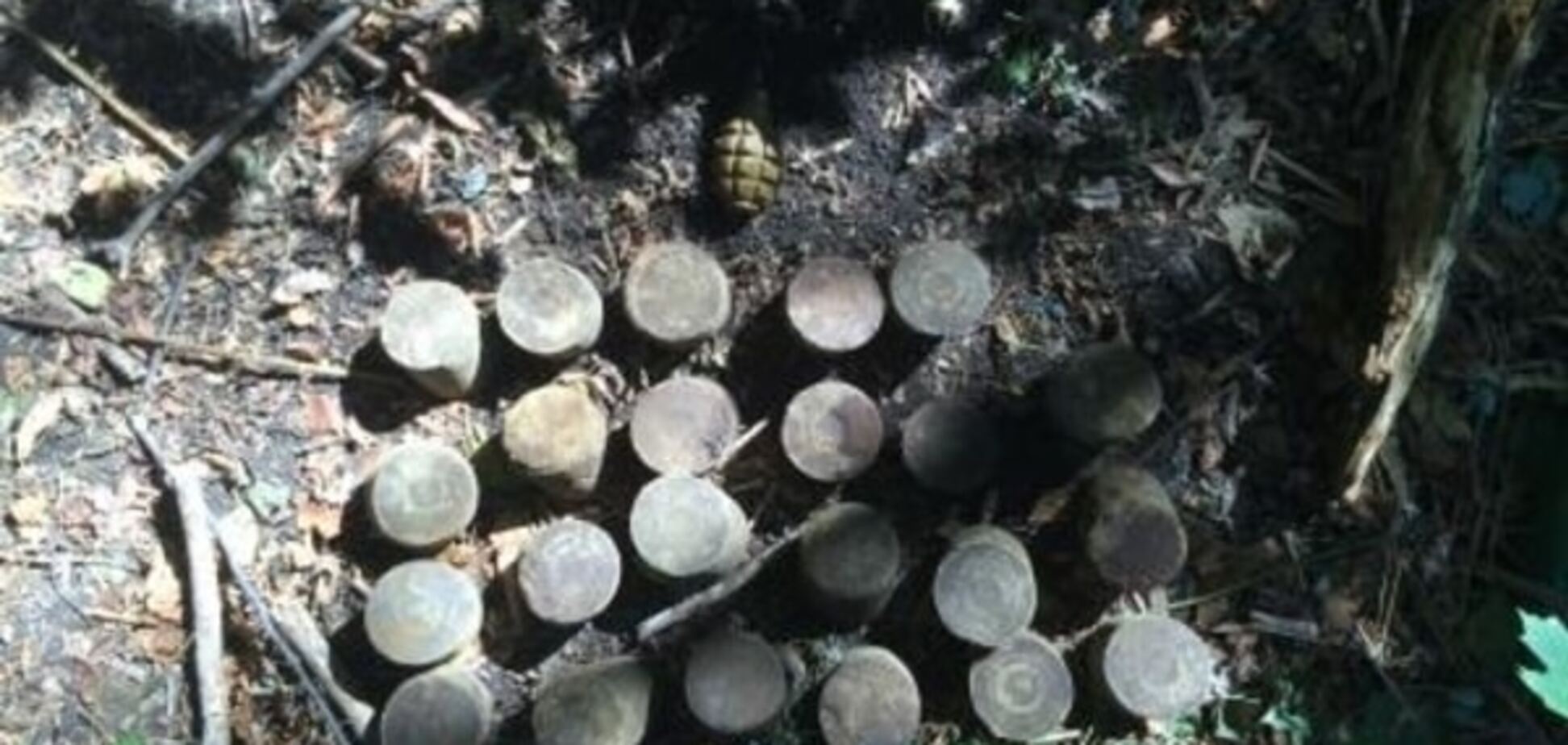 На Донеччині знайшли схованку з гранатою і наркотиками на мільйон: фотофакт