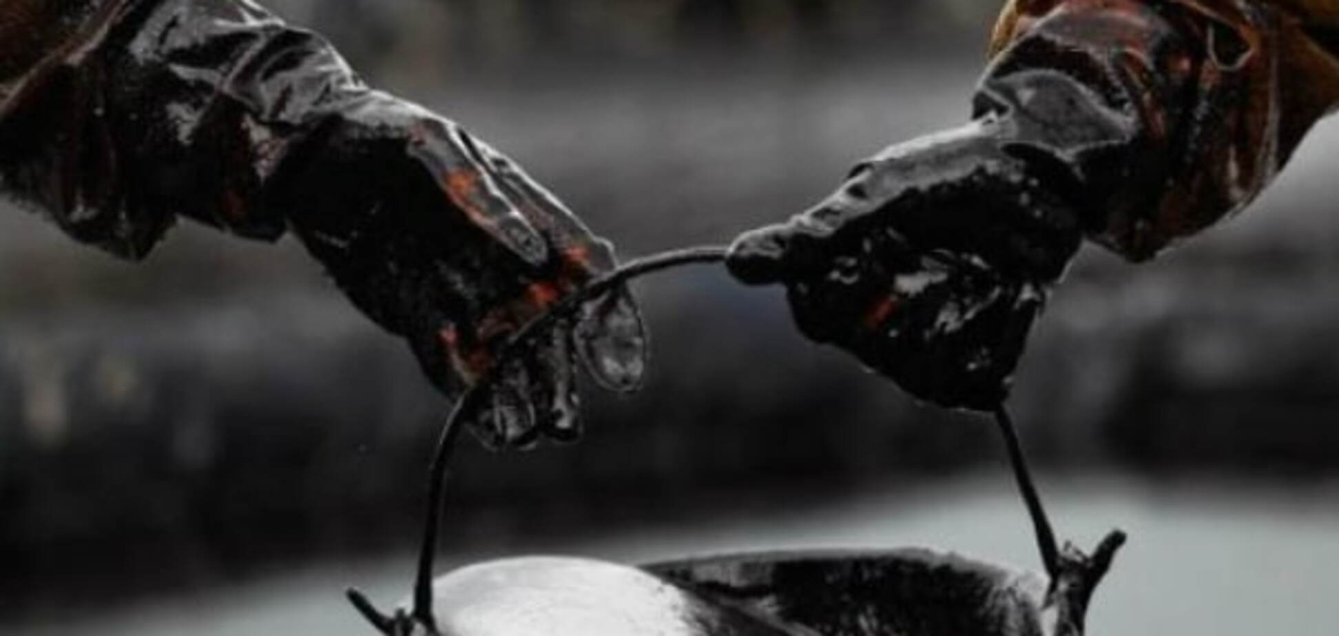 В ОПЕК спрогнозировали, когда нефть будет по $80 за баррель